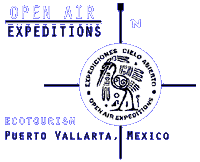 Open Air Expeditions - Whale Watching  and Ecotourism Experts